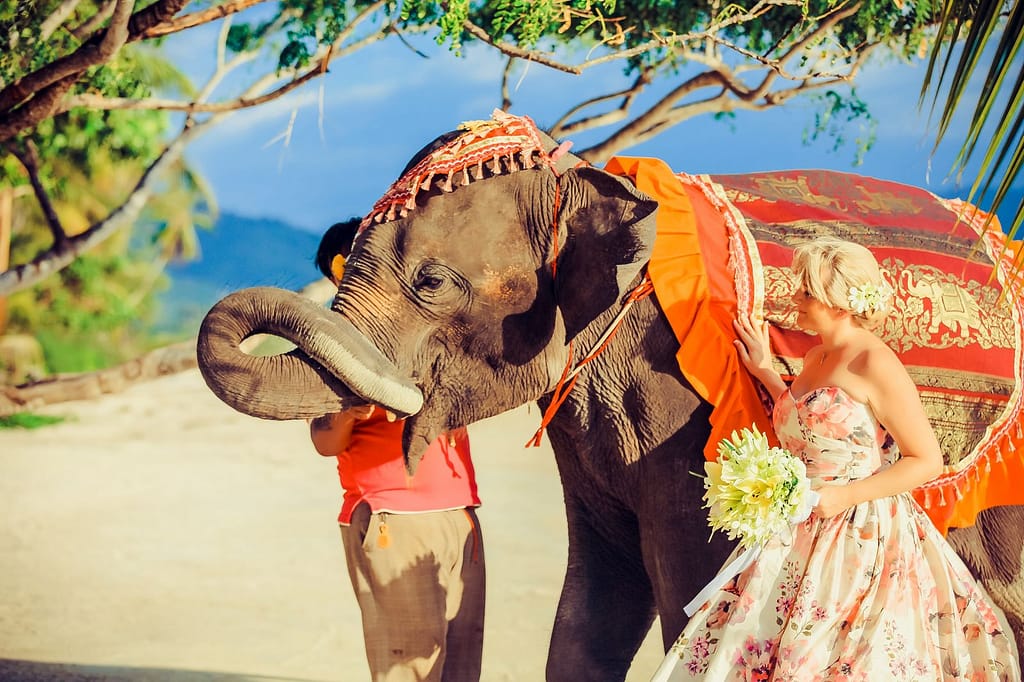 Lianne&Joe113_result Bespoke Weddings Thailand: Samui, Krabi, Koh Chang, Hua Hin